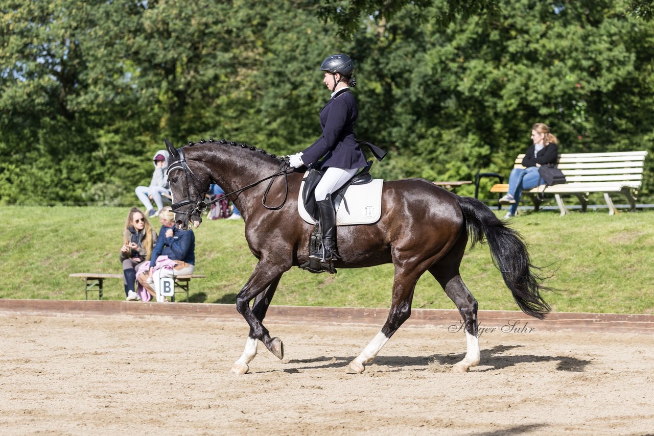Bild 451 - Pony Akademie Turnier